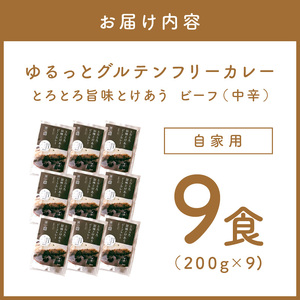 【自家用 化粧箱なし】ゆるっとグルテンフリー とろとろ旨味とけあうビーフカレー(中辛)9食セット【092D-013】