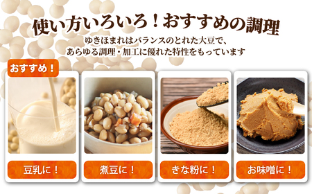 北海道壮瞥町産大豆 ゆきほまれ 約1.5kg SBTQ007