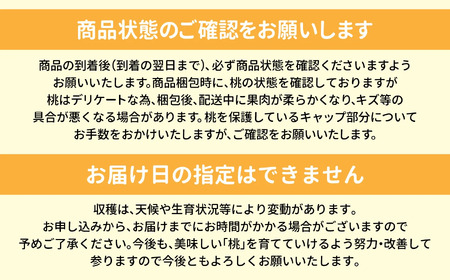 もも 先行予約 桃 福島 大玉村 大きいサイズ ( 3L 〜 4L ) 3玉 (約1kg) 2025年産 8月上旬～9月下旬発送 ｜ 令和7年産 農家直送 もぎたて 朝獲れ 菊地果樹園 福島県 大玉 