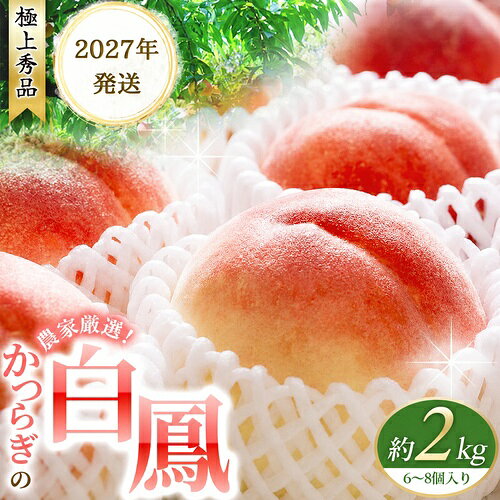【ふるさと納税】 桃 白鳳 約2kg 6～8個 ☆秀品☆【2027年6月20日頃～順次発送】 桃の王様！ ｜桃 白桃 白鳳 フルーツ 果物