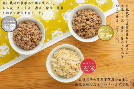 「実り咲かす」玄米ご飯パック 三種セット（10P）：B195-010