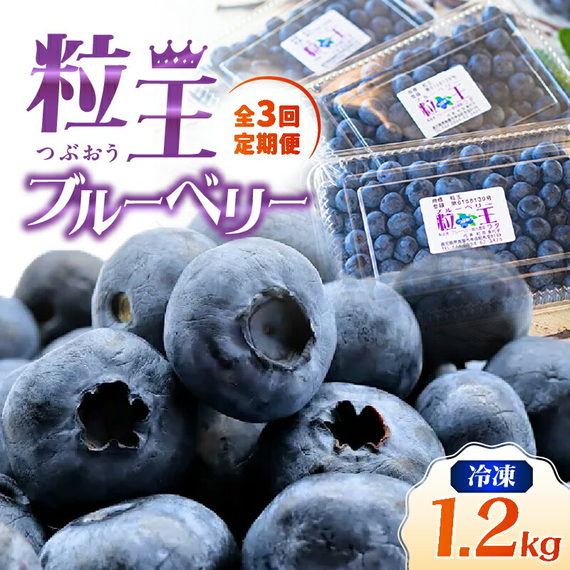【ふるさと納税】【定期便3回・2ヶ月に1回発送】粒王　冷凍ブルーベリー 計3.6kg[400g×3P×3回]新鮮な甘みを急速冷凍で閉じ込めました！ 定期便 お楽しみ ブルーベリー 果物 フルーツ 無農薬 冷凍 冷凍保存 急速冷凍【ブルーベリー観光農園ワダ】