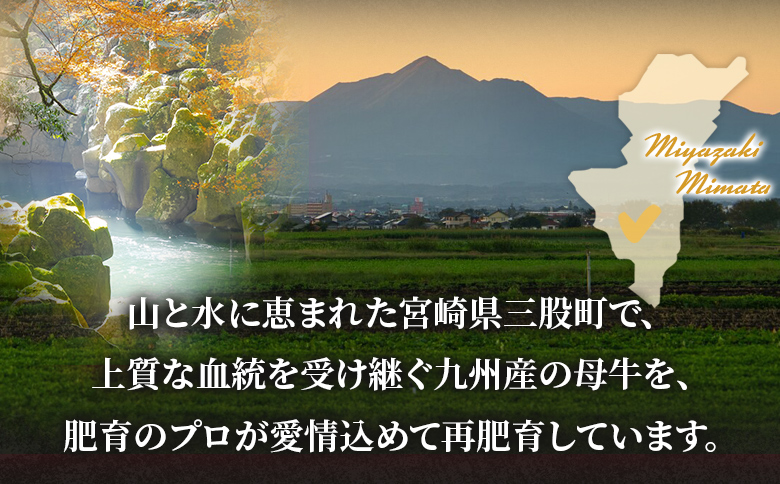 【数量限定】＜黒毛和牛 中村牛切り落とし 合計1.5kg(250g×6)＞ 国産 九州産 脂身 牛肉 赤身 すき焼き 牛丼 肉じゃが プルコギ 煮込み 使いやすい 小分け 便利 こま切れ 牛こま コマ