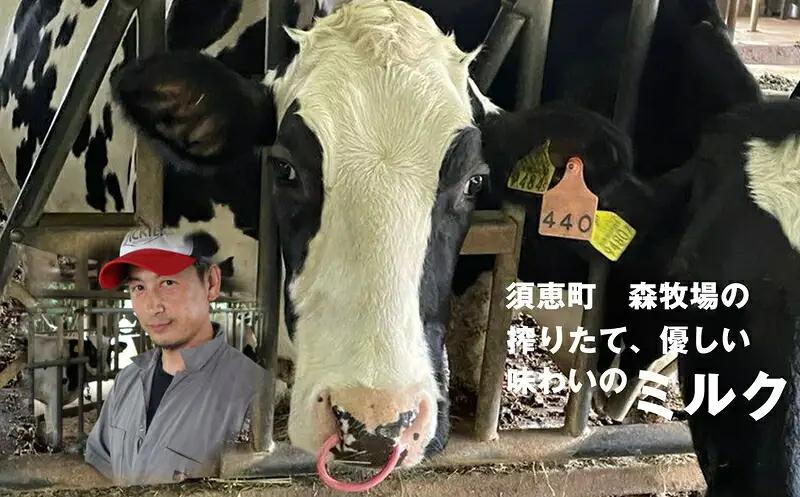 ジェラート ミルク 9個 森牧場 搾りたて | アイス ジェラート
