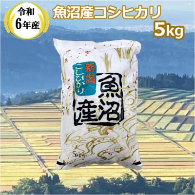 ふるさと納税 小千谷市 令和7年産 魚沼産 コシヒカリ 5kg　共栄農工社のおいしいお米 魚沼産 新潟県 小千谷市