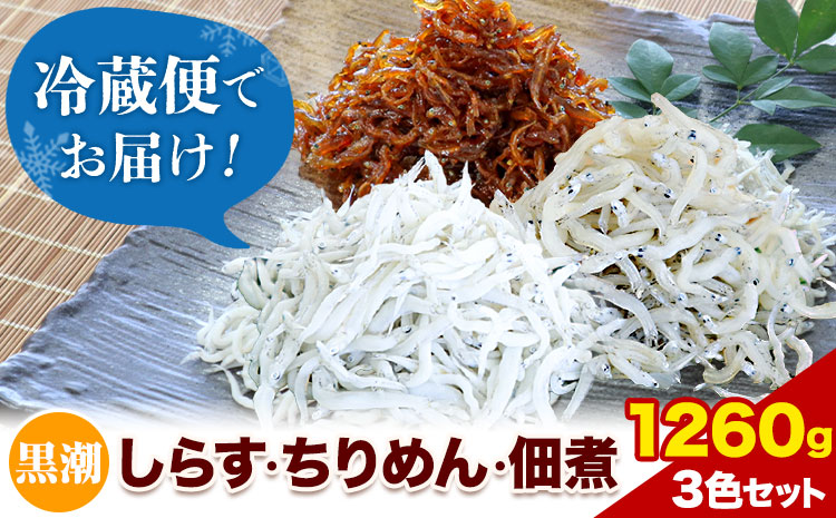 しらす ちりめん 佃煮 合計1260g 3色セット「黒潮」 kuroshio 大五海産《60日以内に出荷予定(土日祝除く)》和歌山県 日高町  しらす ちりめん 佃煮 セット