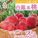 【ふるさと納税】2025年先行予約 山梨県産 桃 白鳳系 2kg以上(5～8玉) フルーツ王国・山梨から産地直送_ ふるさと納税 ふるさと もも モモ フルーツ 果物 くだもの 人気 美味しい 山梨県 山梨市 山梨 送料無料【配送不可地域：離島・沖縄県】【1137260】