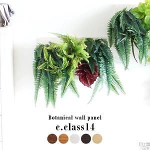 Botanical c.class 14　ブラウン