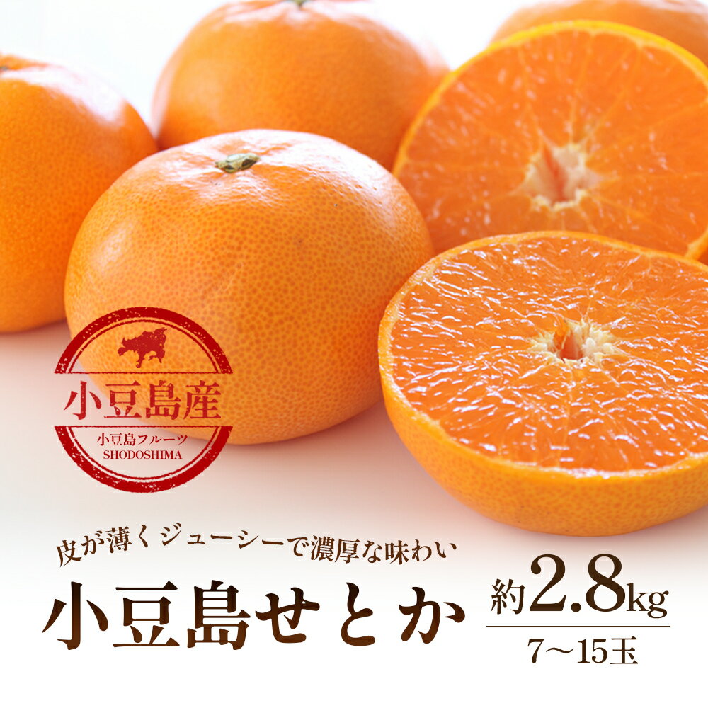 【ふるさと納税】【 小豆島 】小豆島　せとか　約2.8kg　お届け：2026年2月上旬～2026年3月上旬
