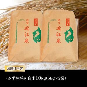 令和5年産 みずかがみ 白米 10kg 近江米 みずかがみ 米粉 200g付（竜王町 みずかがみ）