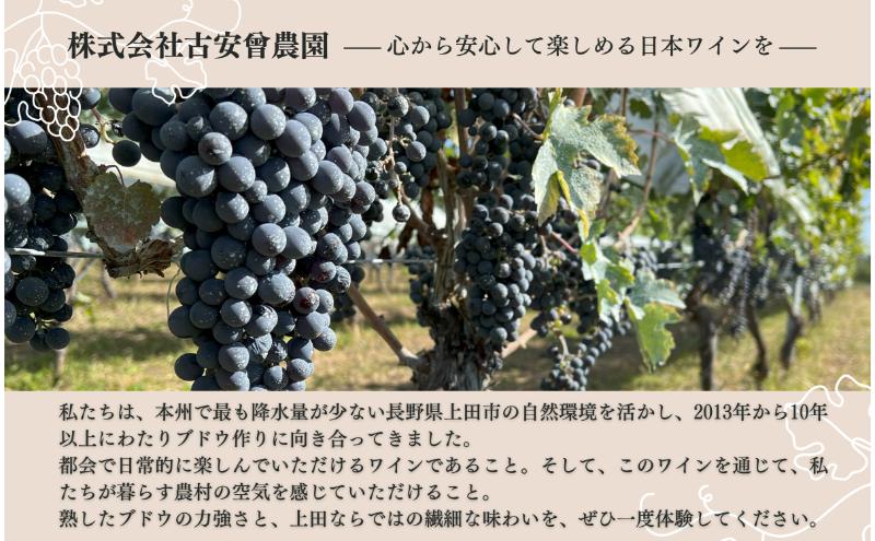 Koaso 長期熟成向き赤ワイン2023ヴィンテージ　2本セット ワイン 日本ワイン 赤 上田市