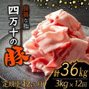 【ふるさと納税】 【定期便12回】四万十ポークスライス 計36kg（3kg×12ヶ月連続お届け) 2Pコース | 豚肉 豚バラ肉 小分け 小間切れ スライス 切り落とし 冷凍 真空パック 簡単調理 細切れ 大容量 肉 高知県 須崎市 TM44000