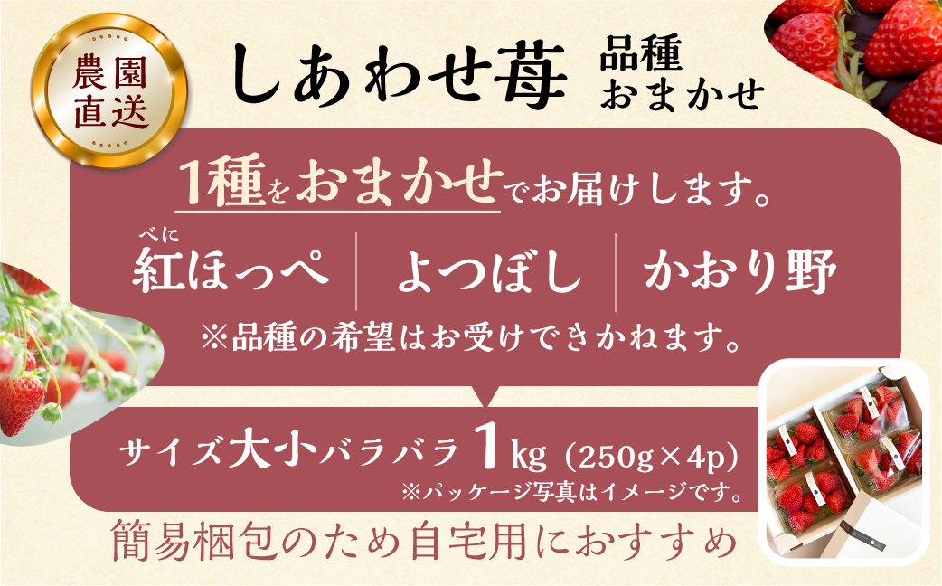 【2026年1月以降発送】 自宅用 品種おまかせ いちご 1kg (250g × 4p) [しあわせ苺] サイズ バラバラ 訳あり 訳アリ 農園直送 フルーツ 果物 苺 イチゴ 子ども 大人 人気 小