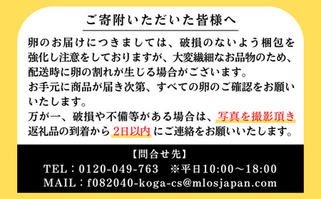 江原ファーム　アローカナの青い卵（３０個）_AG01〇