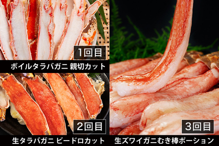 カニの カジマ 職人魂 かに定期便 隔月1回 × 6回 カジマ ずわい蟹 ズワイガニ たらば蟹 タラバガニ ずわいがに かに カニ 蟹 ずわい たらば_AF030