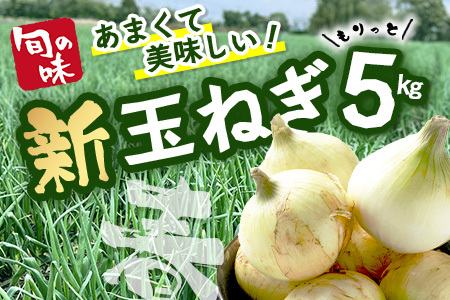 鹿島市産 新玉ねぎ 合計5kg
