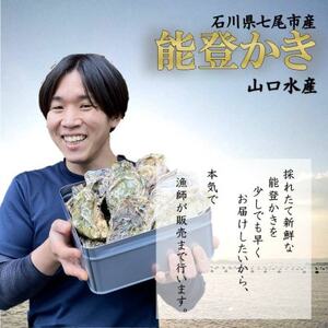 山口水産の能登かき 殻付き 3kg(18～22個入)【配送不可地域：離島・北海道・沖縄県・東北・四国・九州】【1374846】