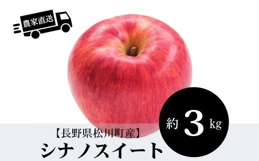 HF08【長野県】農家直送！シナノスイート 約3kg／10月中旬発送開始予定 // 長野県 南信州 オリジナル品種 減農薬栽培 エコファーマー認証農家 りんご3兄弟 HF