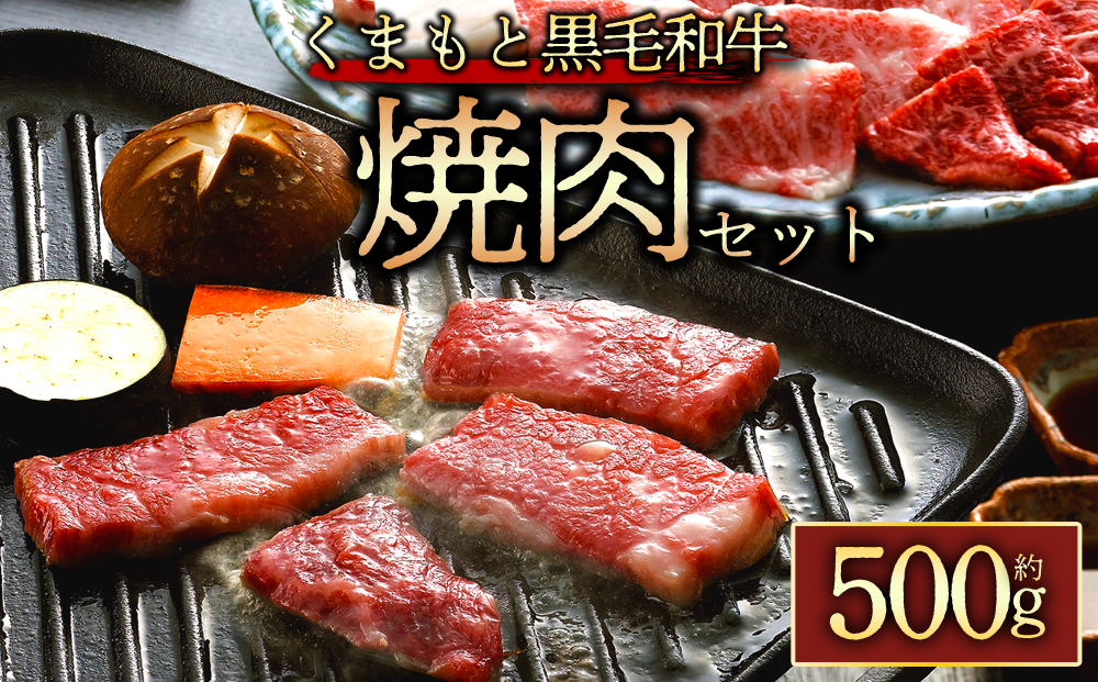 くまもと黒毛和牛焼肉約500g 阿蘇牧場 黒毛和牛 和牛 国産 牛肉 ブランド牛 人気 美味しい 焼肉 希少 ジューシー 熊本 阿蘇