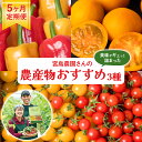 【ふるさと納税】【先行予約】【定期便5回】八代市産 農産物おすすめ定期便 宮島農園 トマト パプリカ 野菜 送料無料【2024年12月上旬より順次発送】