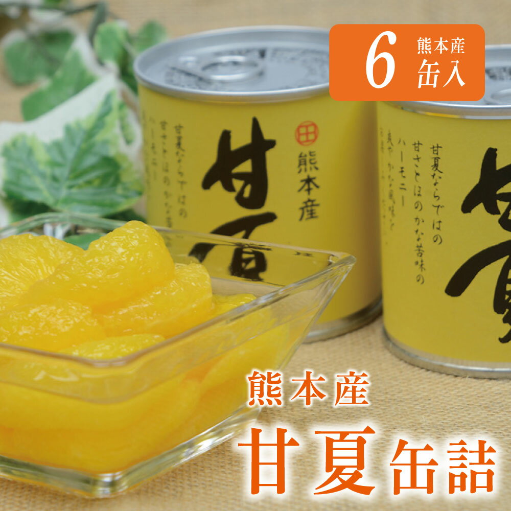 【ふるさと納税】缶詰 セット ギフト かんづめ 甘夏 夏みかん みかん 保存食　甘夏缶詰（6缶入）