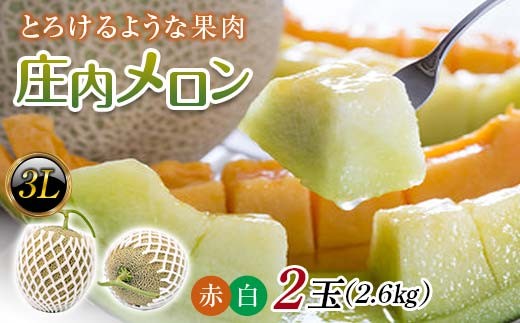 
            【2025年発送 先行予約】庄内メロン 紅白セット 2玉 3L 約2.6kg 青肉メロン メロン 青肉 デザート フルーツ 果物 くだもの 果実 食品 山形県 FSY-0585
          