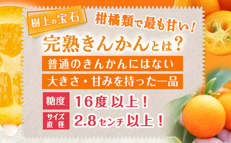 【2月～3月お届け】都城産完熟きんかん 家庭用2kg (Lサイズ)_11-B503_(都城市) 都城産 完熟きんかん きんかん Lサイズ 約2kg 柑橘類 2月～3月お届け 家庭用