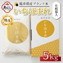 【ふるさと納税】【令和6年産 新米】いちほまれ 精米 5kg 《ギフトにもおすすめ！化粧箱入り》／ 福井県産 ブランド米 白米 贈り物 お取り寄せ