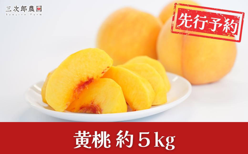 
                  先行予約 黄桃 約5kg 令和8年度 贈答用 新潟県三条市産 桃 黄桃  [三次郎農園] 【026S052】
                