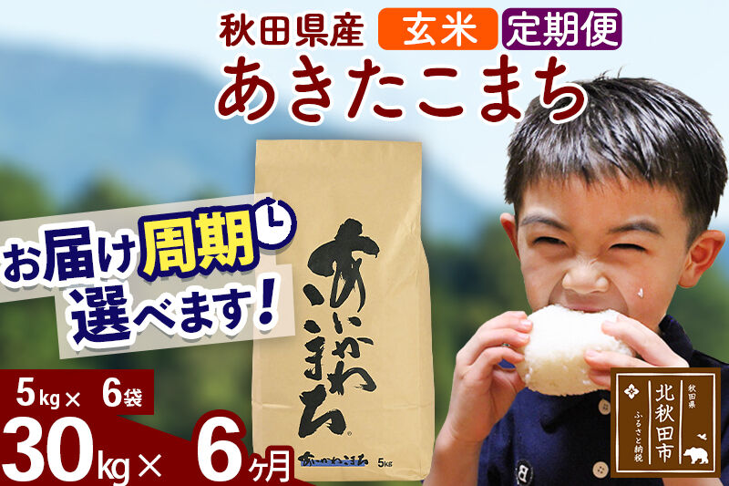 ※令和7年産※《定期便6ヶ月》秋田県産 あきたこまち 30kg【玄米】(5kg小分け袋) 2025年産 お届け周期調整可能 隔月に調整OK お米 藤岡農産 [藤岡農産 秋田 お米 あきたこまち 米どころ 東北 北秋田市 定期便 毎月お届け]