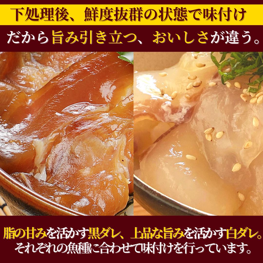 日向灘 お魚の漬け丼 バラエティ 5回 定期便　N019-ZD0117　請関水産