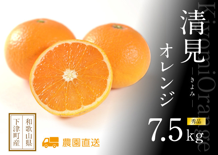 清見オレンジ 約7.5kg M・L・2L・3Lサイズおまかせ 《赤秀》 和歌山県産 農園直送 まごころ産直みかん 【北海道・沖縄県・一部離島 配送不可】みかん きよみ 清見タンゴール 清美 柑橘 贈答