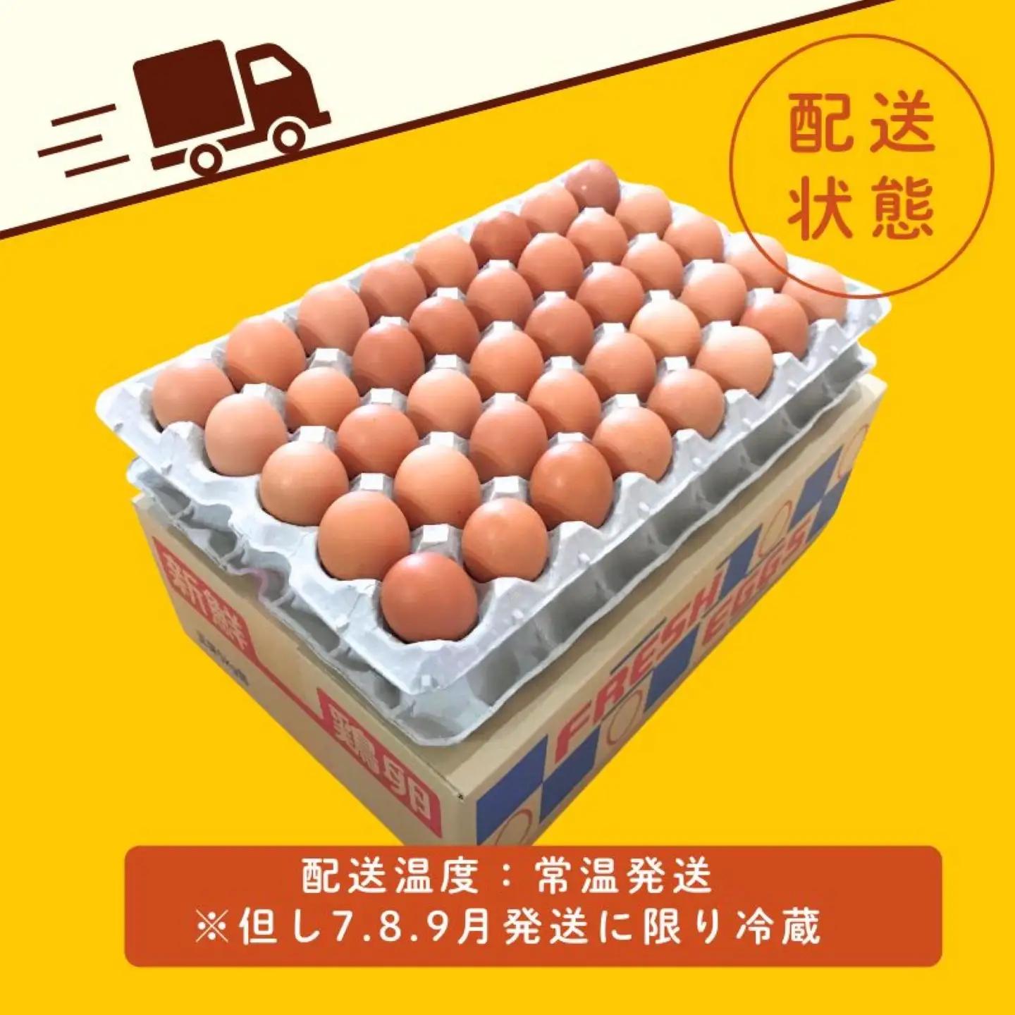 【忍野のたまご】コクの赤玉【10㎏】