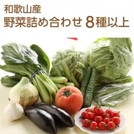 旬の新鮮野菜セット8種以上【野菜詰め合わせ】【配送不可地域：離島】【1753433】