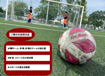 CI327_【みやきなでしこ】応援米【無洗米】さがびより６㎏（３㎏×２袋）