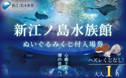 体験 水族館 新江ノ島水族館 えのすい ぬいぐるみ 付き 入場券 えのしま 江の島 大水槽 イルカ アシカ クラゲ あわたん チケット 前売 入場券 大人1枚 利用券 引換券 体験チケット 体験型 ア