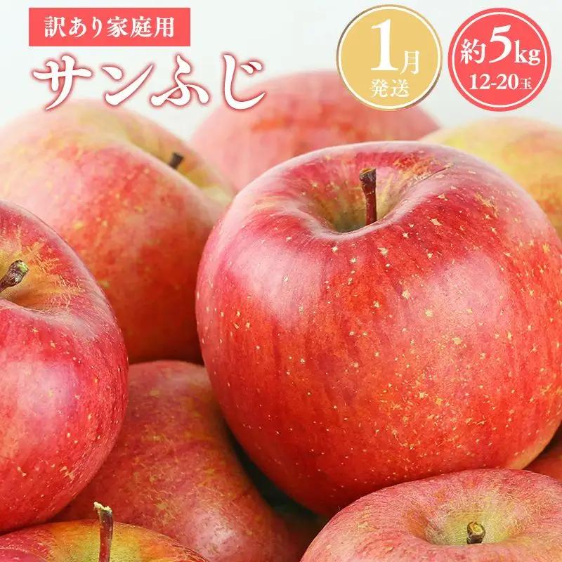 りんご 家庭用 サンふじ約5kg りんご