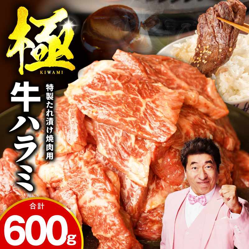 【お試し】牛肉 ハラミ 600g（300g×2P）【氷温熟成×特製ダレ】 mrz0388