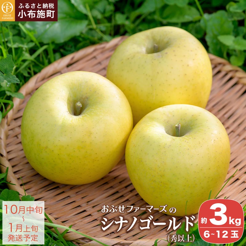 【ふるさと納税】 シナノゴールド 秀以上 約3kg 6～12玉 ［おぶせファーマーズ］ りんご 林檎 リンゴ 果物 フルーツ 長野県産 信州産 先行予約 数量限定 令和7年産 【2025年10月中旬〜2026年1月上旬発送】