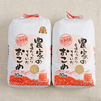 ふるさと納税 留萌市 【令和7年産】玄米2種セット　20kg(ななつぼし10kg・ゆめぴりか10kg)【北海道留萌産】