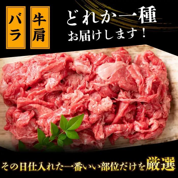 【12回定期便】 A4-A5 長崎和牛 切り落とし (600g×2） [DBS060]