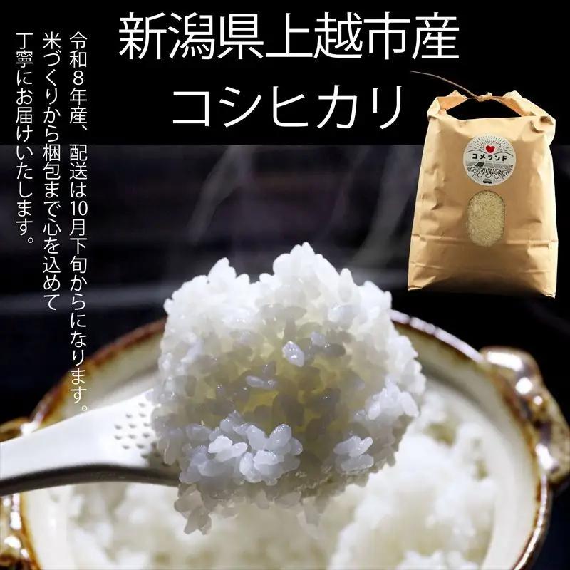 【先行予約】コメランド コシヒカリ 精米 上越産 5kg コシヒカリ