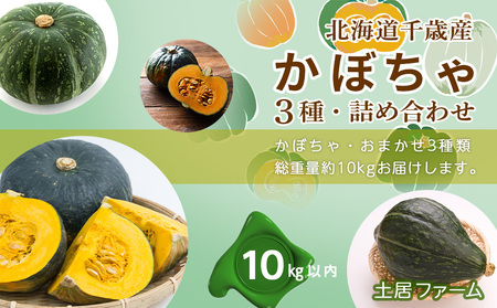 2024年 秋発送 かぼちゃ 3種 詰め合わせ 計10kg《 土居ファーム 》 野菜 カボチャ 南瓜 食べ比べ 千歳 北海道