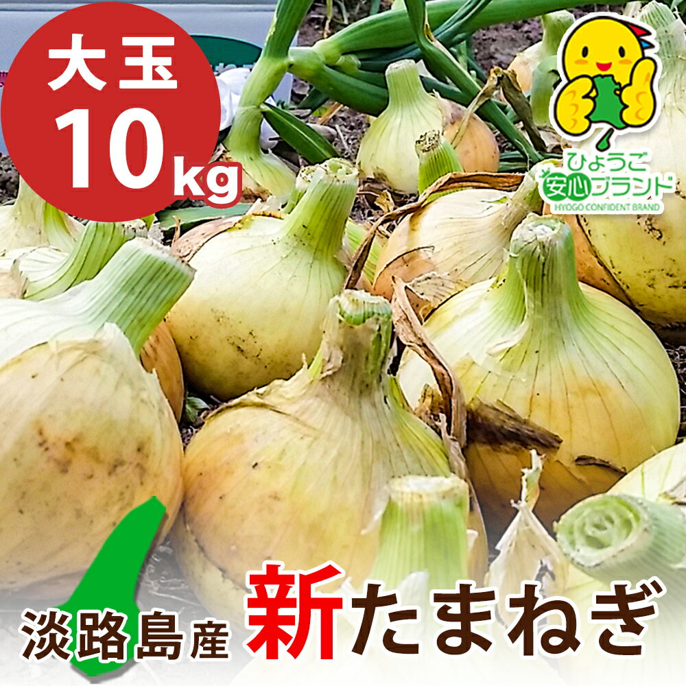 【ふるさと納税】【大玉10kg】兵庫県認証★特別栽培★淡路島新たまねぎ