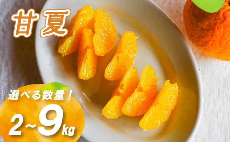 
            【2月下旬より発送】農薬不使用 甘夏 2kg/4kg/9kg | 数量選択可 みかん ミカン 蜜柑 柑橘 数量限定 愛媛県産 松山市 中島 愛媛 ふるさと納税
          