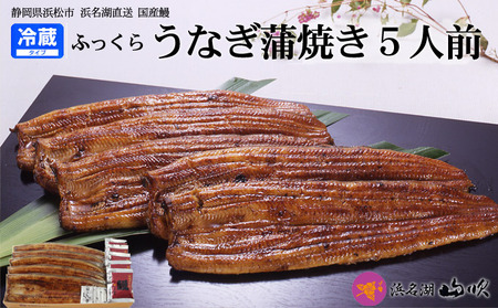 うなぎ 国産 長蒲焼 5尾 小分け 詰め合わせ 国産 うなぎ蒲焼 国産うなぎ 惣菜 おかず ギフト 贈答 贈答用 贈答品 土用の丑の日 丑の日 レンジ調理 レンチン 蒲焼き うな重 鰻 真空パック 冷蔵 冷蔵配送 静岡 静岡県 浜松市