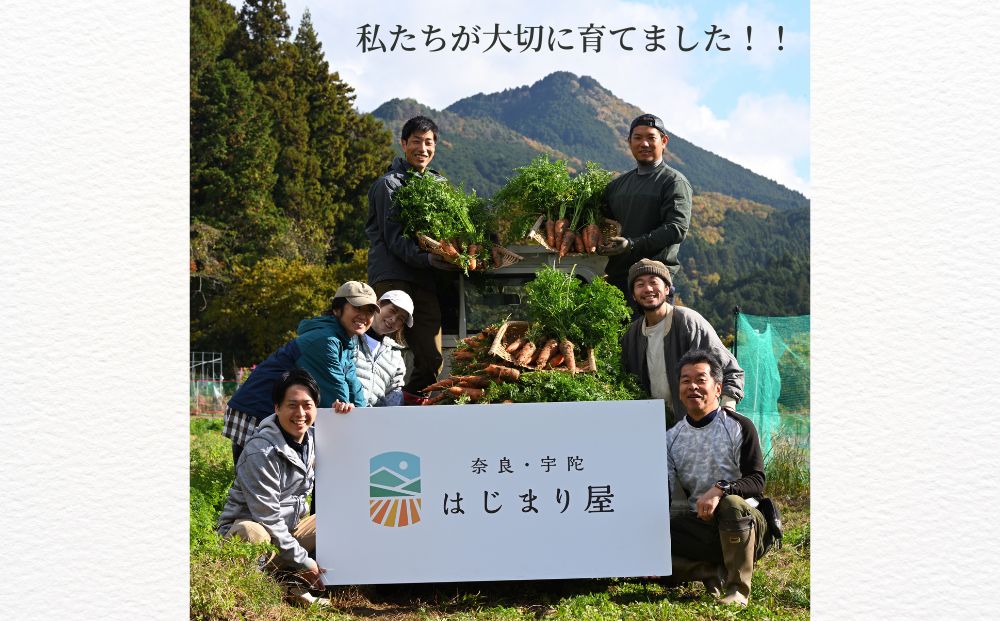 宇陀 はじまり屋の有機人参100％使用 人参ジュース 1000ml×6本／ にんじん 有機野菜 無添加 はじまり屋 奈良県 宇陀市 贈り物 ギフト ふるさと納税