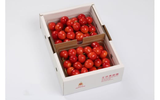 08-03-028　さくらんぼ(紅秀峰)1kg