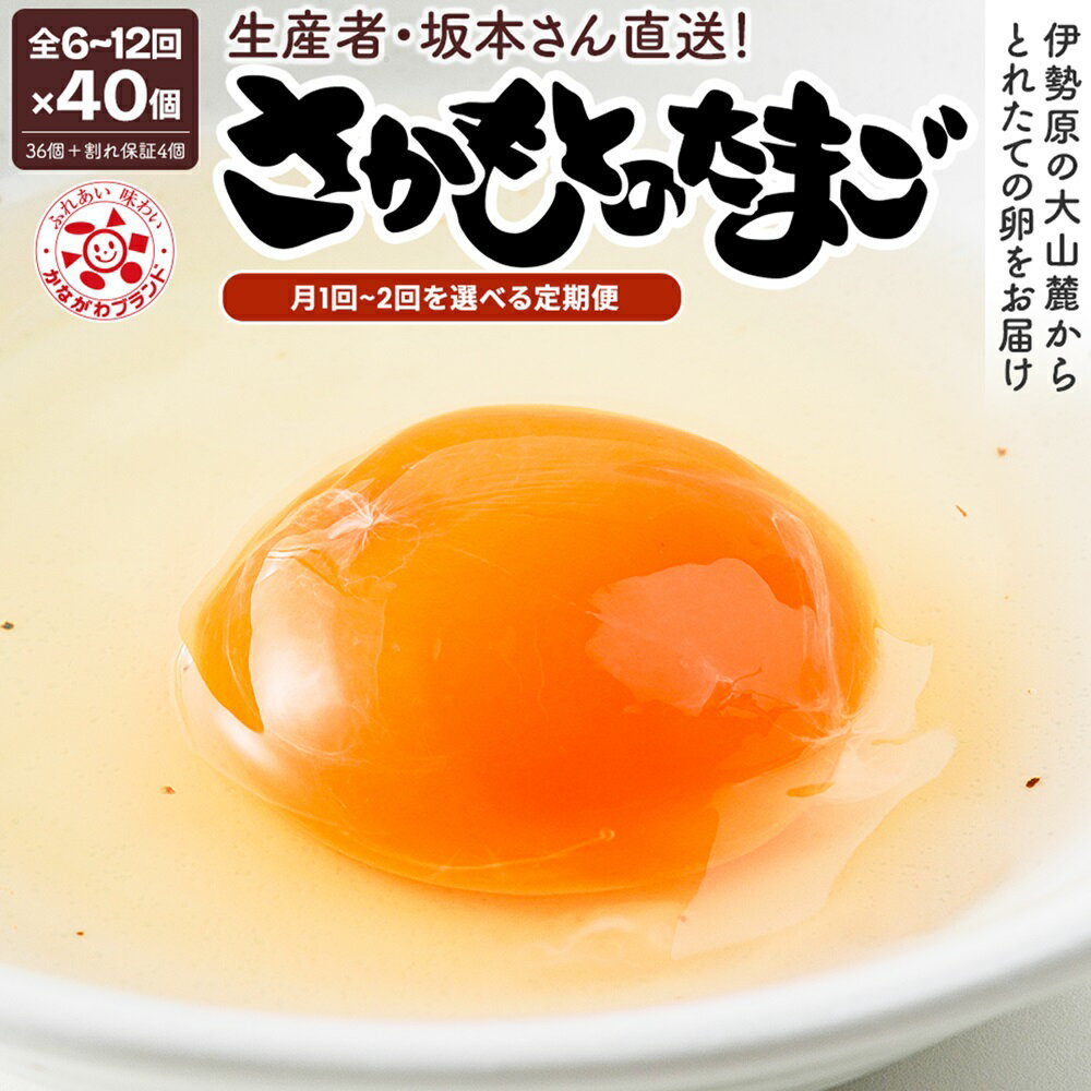 【ふるさと納税】《選べる回数》[定期便／6ヶ月・12ヶ月] さかもとのたまご 40個 (36個＋割れ保証4個) 合計240個or480個 [月1回／月2回]｜坂本養鶏 大山の麓で育ったさかもとのたまご 赤玉卵 玉子 鶏卵 大山 鶏 ギフト 安心 安全 親子丼 卵焼き 目玉焼き お菓子 [0389-0393]