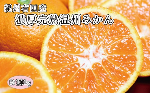 
                  完熟有田みかん　10kg　※2026年11月下旬～2027年1月下旬頃に順次発送予定(お届け日指定不可) みかん 柑橘類【uot705】
                